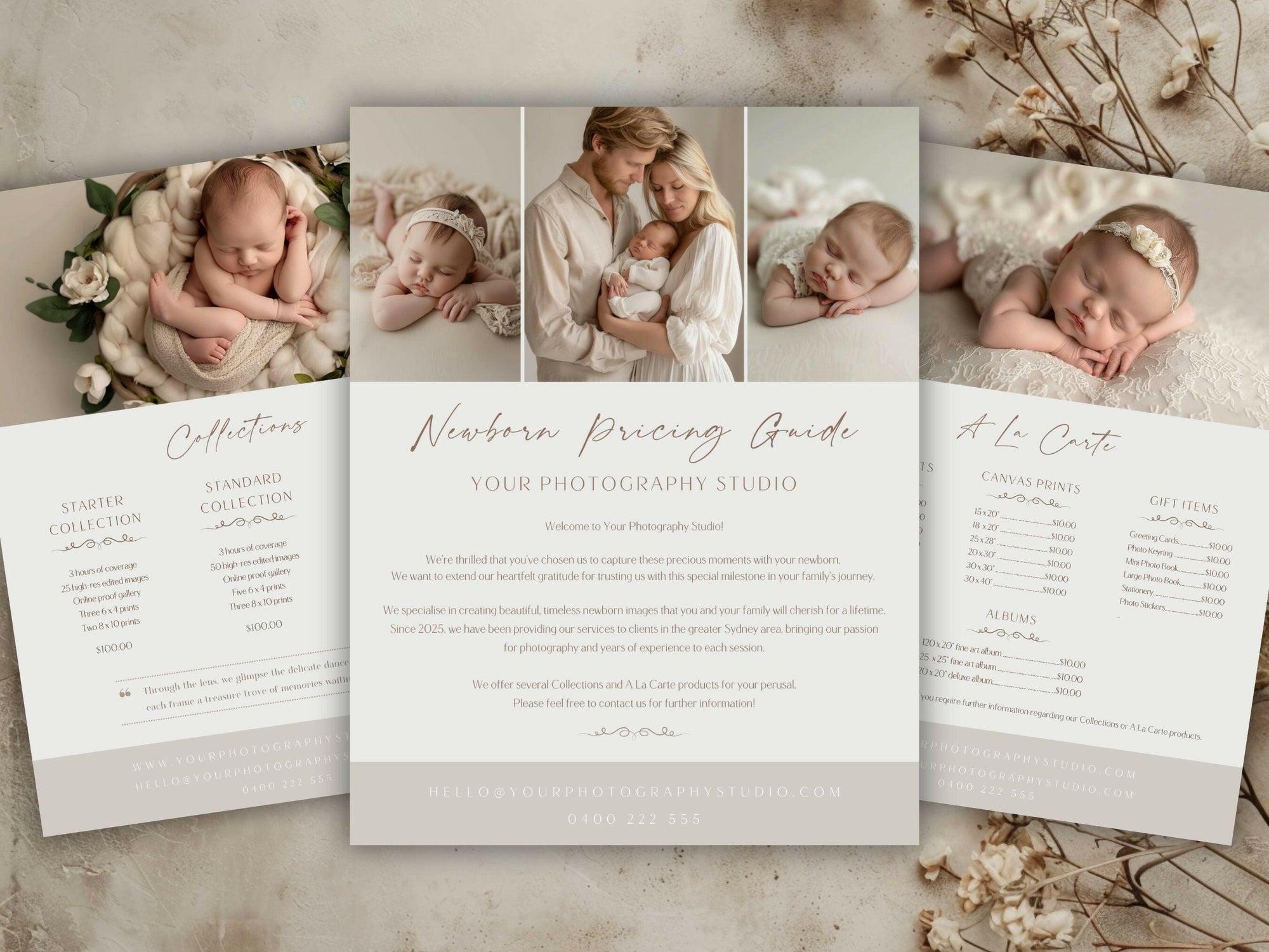 Newborn Pricing Guide for Canva - 3 Pages - Design 4