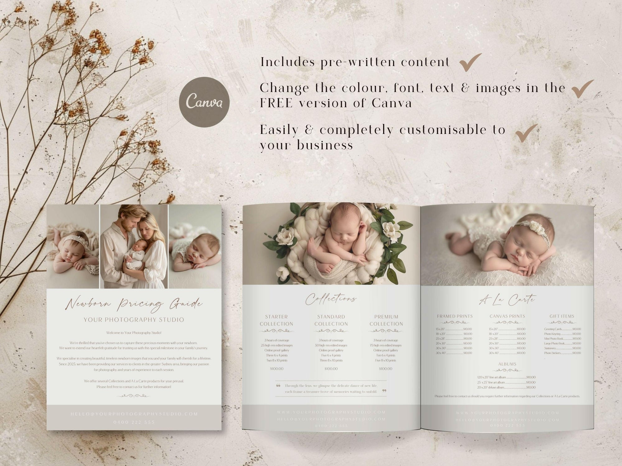 Newborn Pricing Guide for Canva - 3 Pages - Design 4