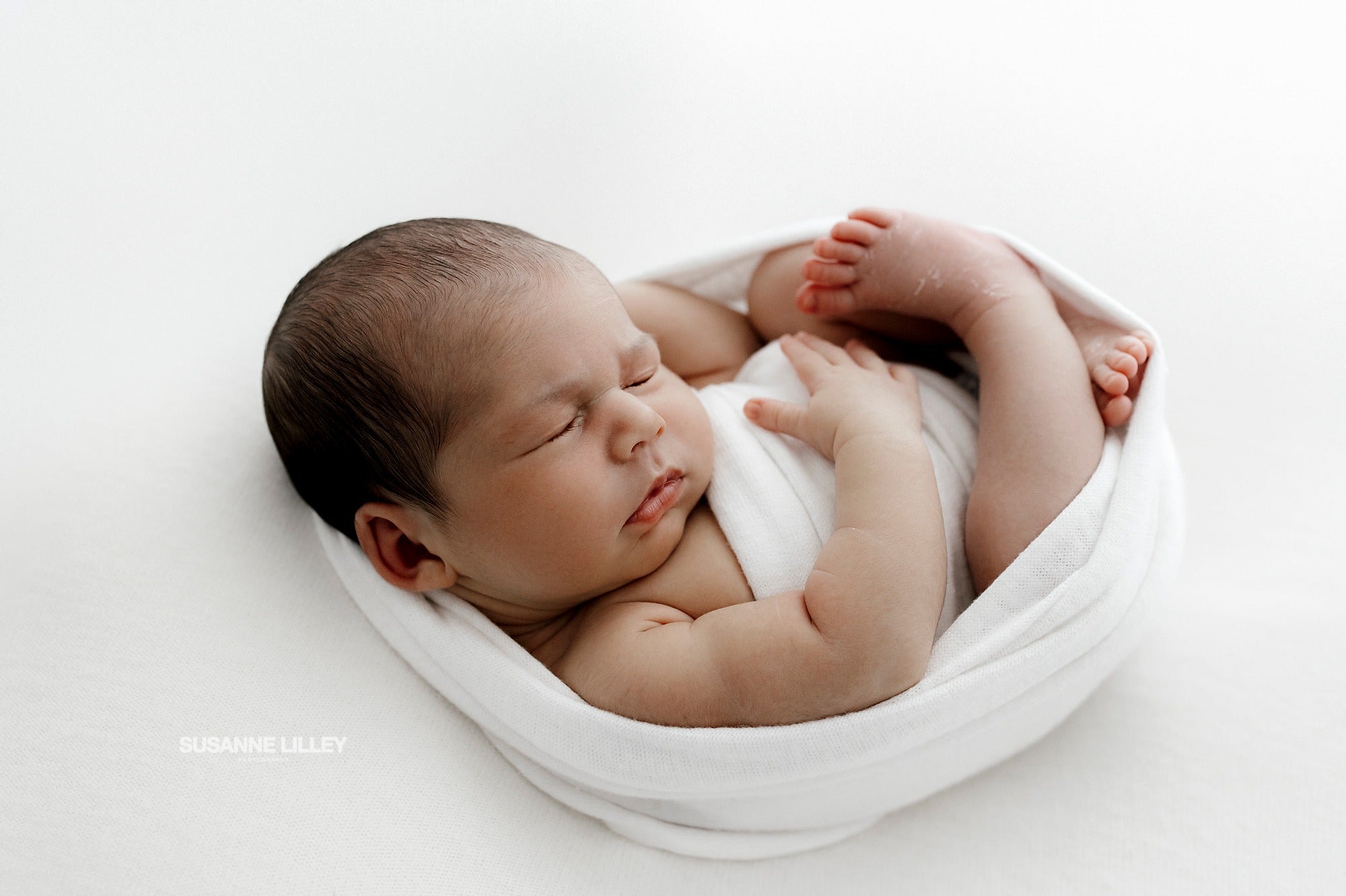 Essential Studio Drop BUNDLE