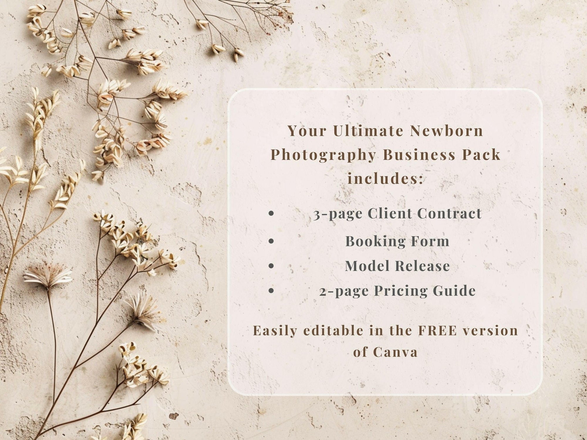 Ultimate Newborn Photography Template Pack - 7 Pages - Design 2