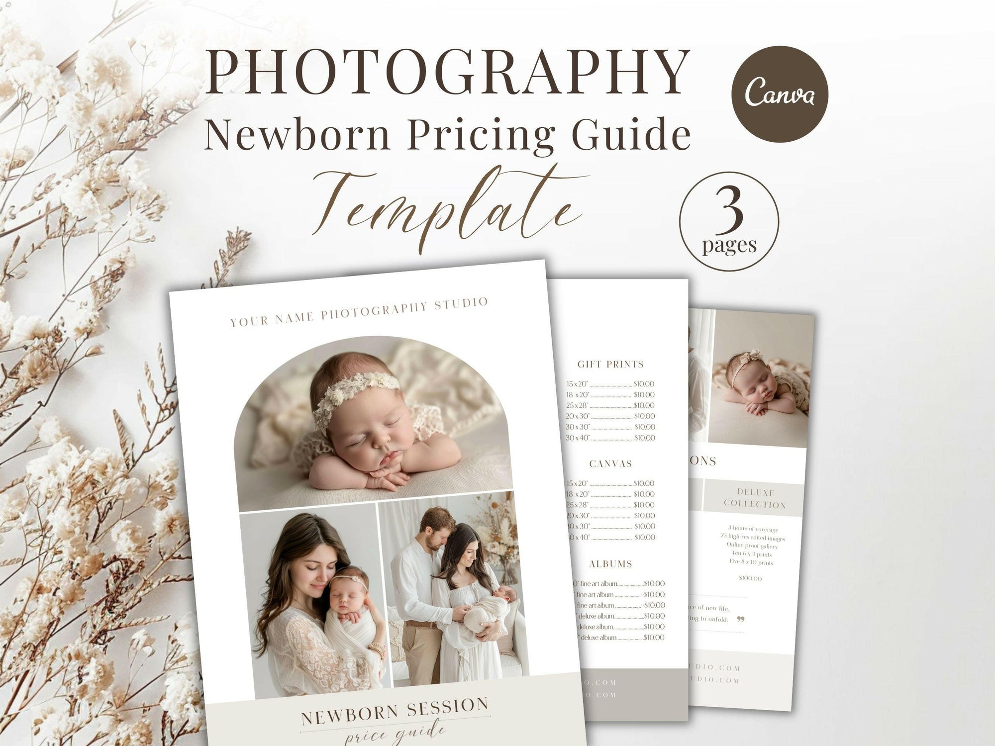 Newborn Pricing Guide for Canva - 3 Pages - Design 1