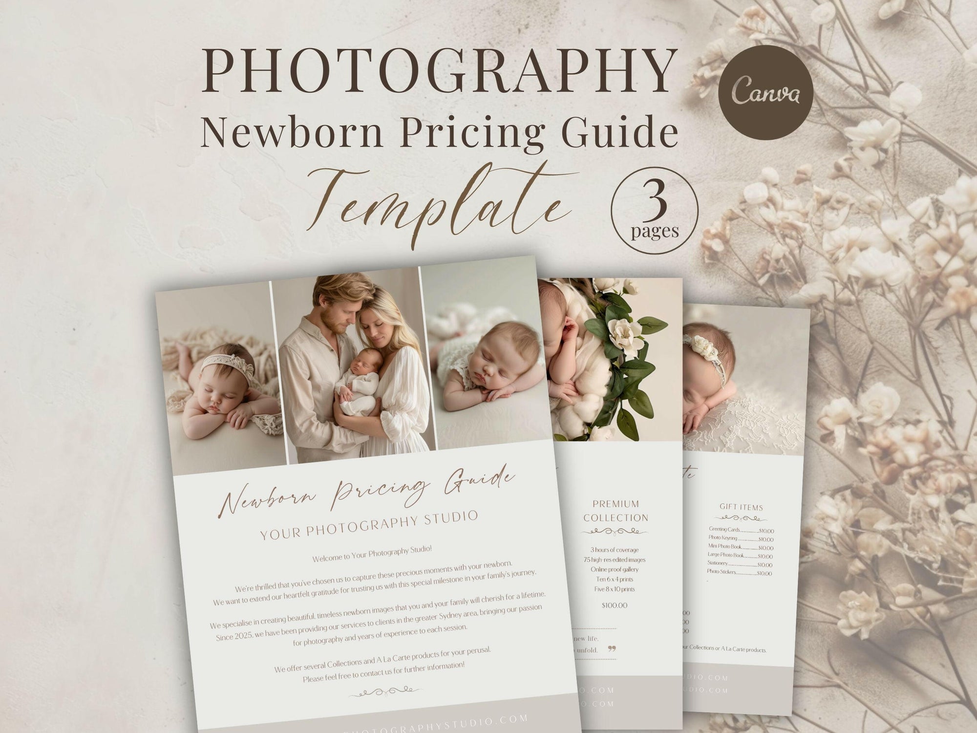 Newborn Pricing Guide for Canva - 3 Pages - Design 4